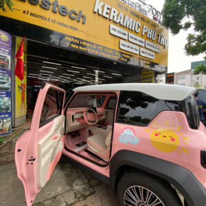 Nâng cấp xe điện